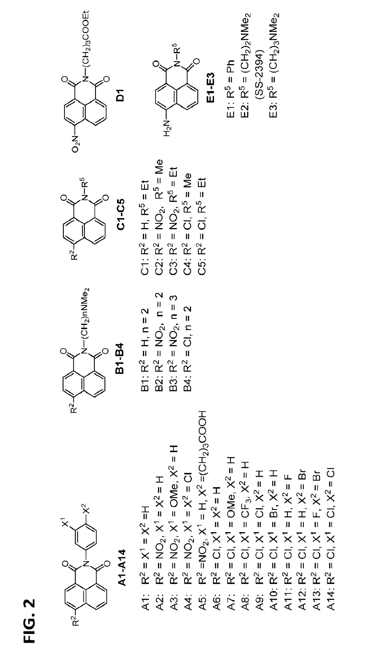 Methods and compositions for treating β-thalassemia and sickle cell disease