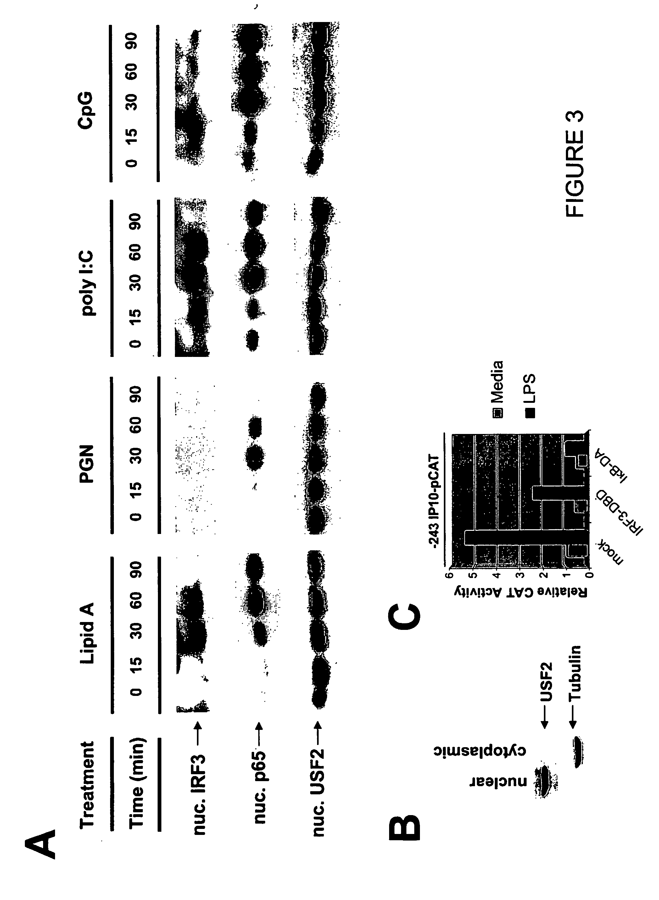 Methods for stimulating tlr irf3 pathways for inducing anti-microbial, anti-inflammatory and anticancer responses