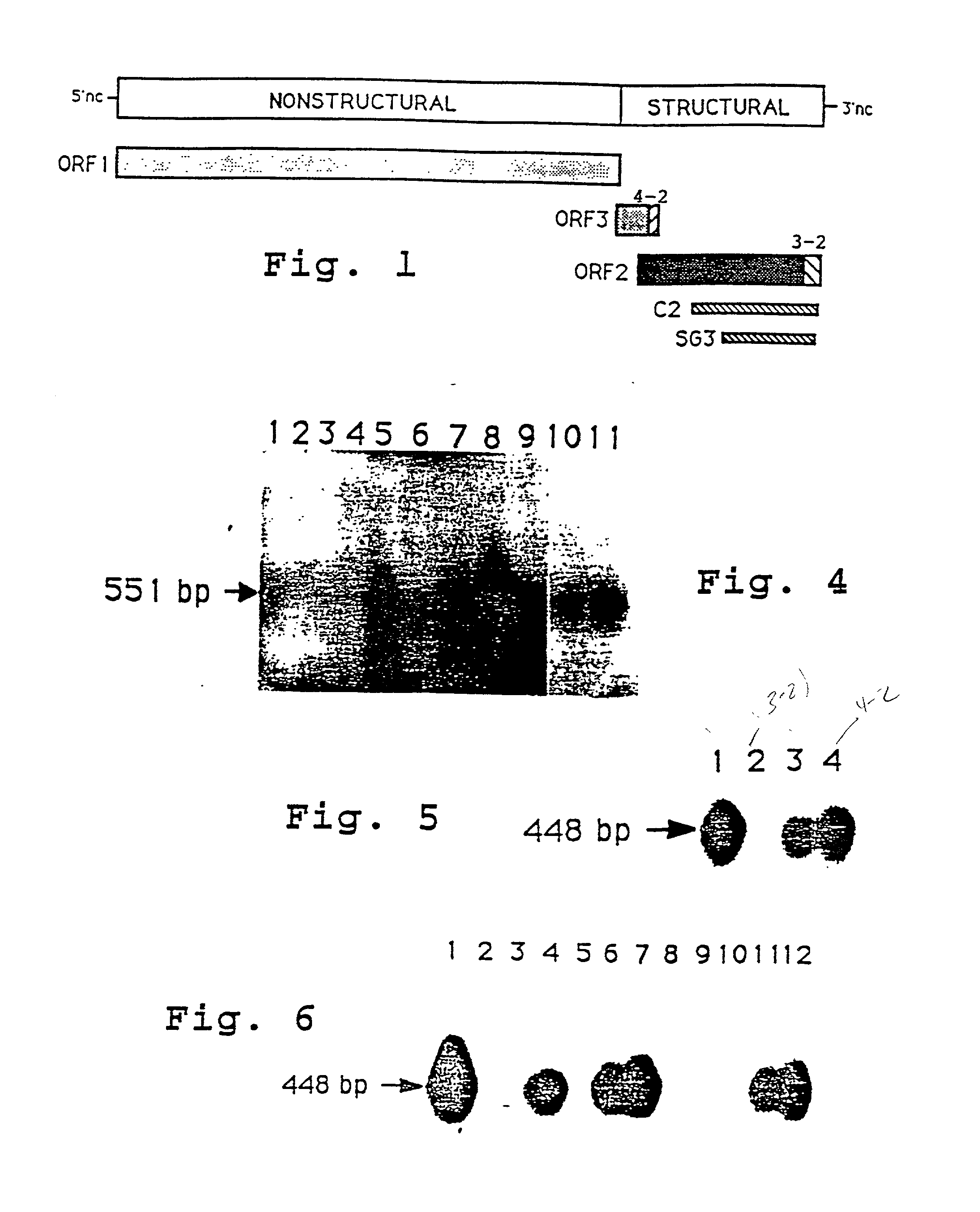 Hepatitis E virus vaccine and method