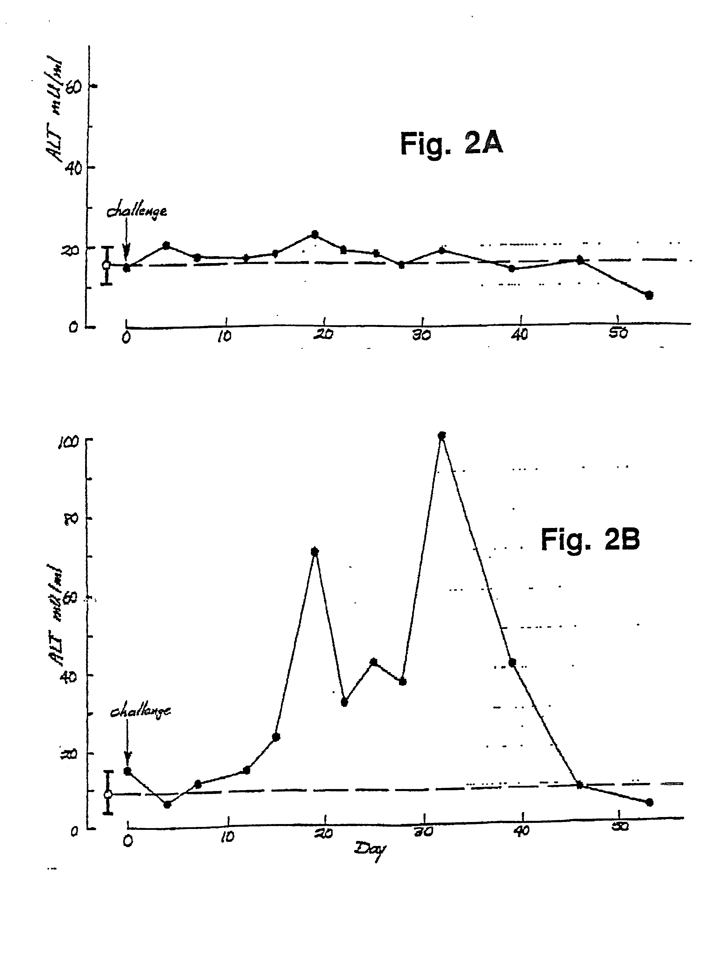 Hepatitis E virus vaccine and method