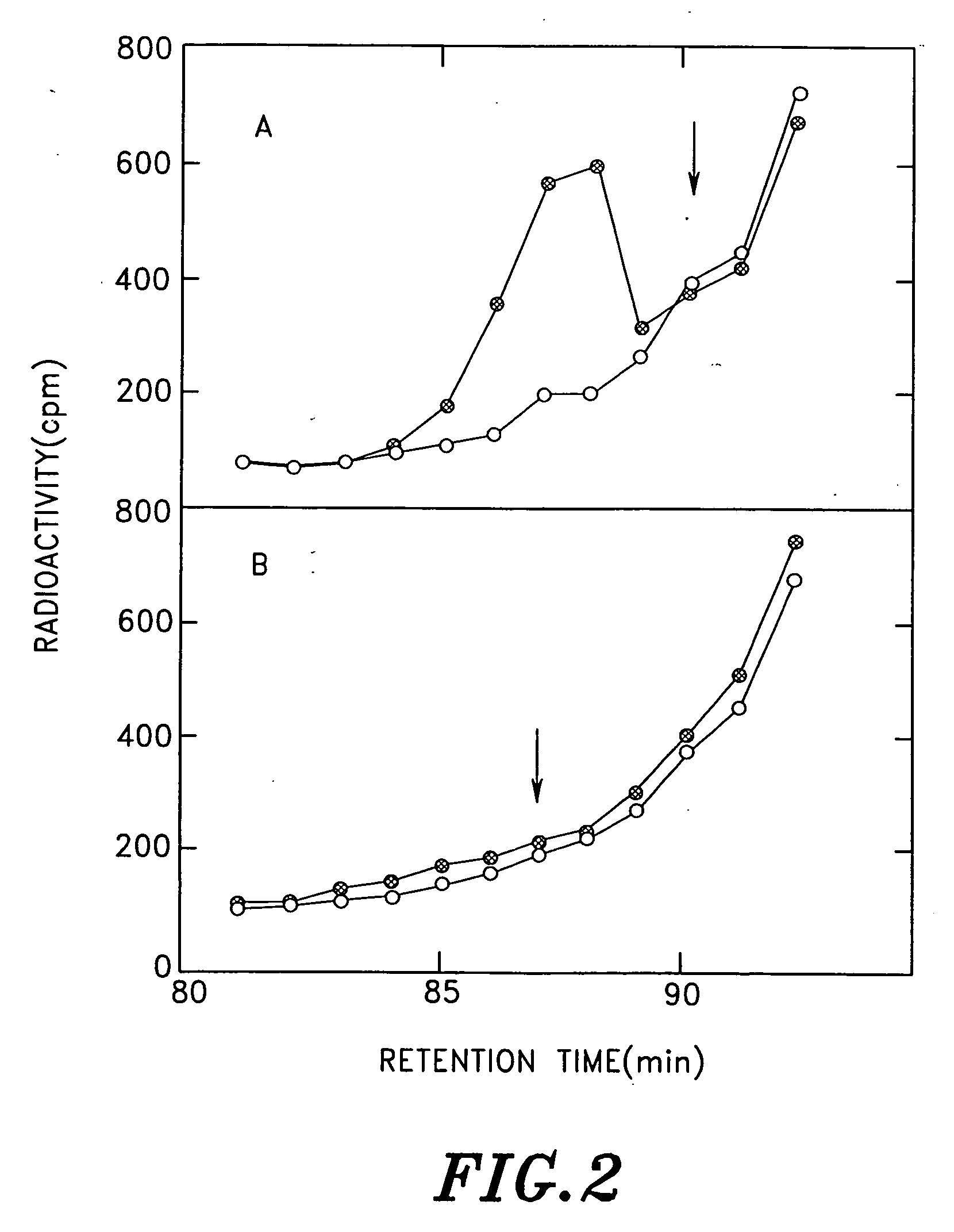 Polypeptide of N-acetylglucosamine-6-O-sulfotransferase and DNA encoding the same