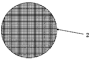 Tissue culture explant washing device and using method thereof