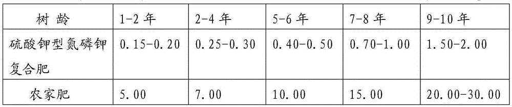 A kind of cultivation method of ginkgo greening seedling