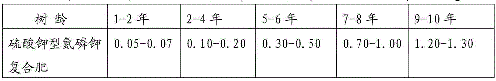 A kind of cultivation method of ginkgo greening seedling