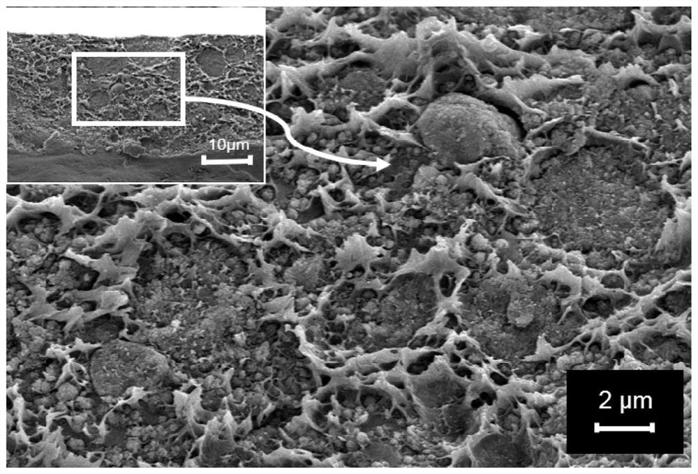 A kind of organophosphoric acid modified tio  <sub>2</sub> Preparation method of /pvc blended cation exchange membrane and its application in electrodialysis