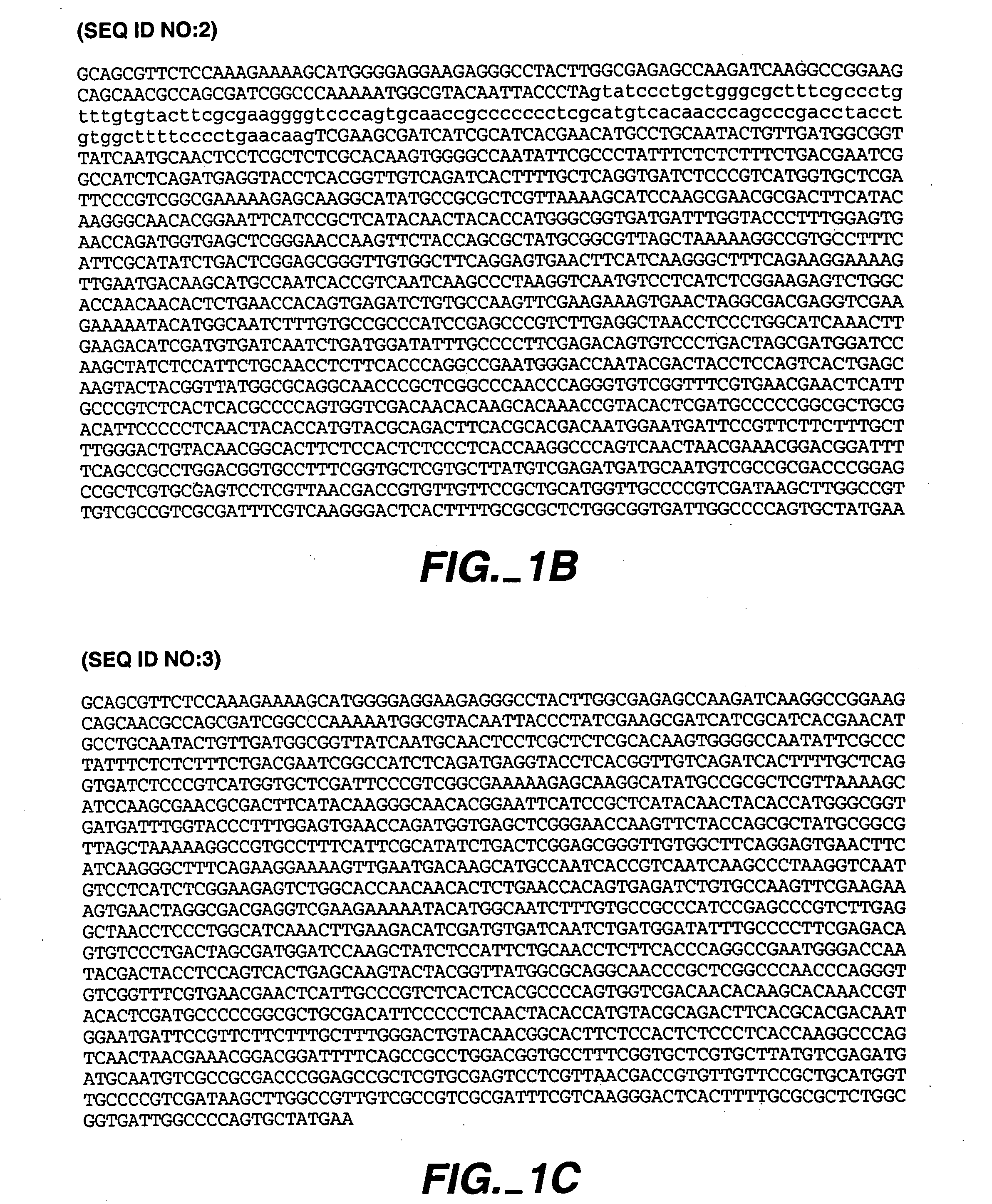 Phytase enzymes, nucleic acids encoding phytase enzymes and vectors and host cells incorporating same
