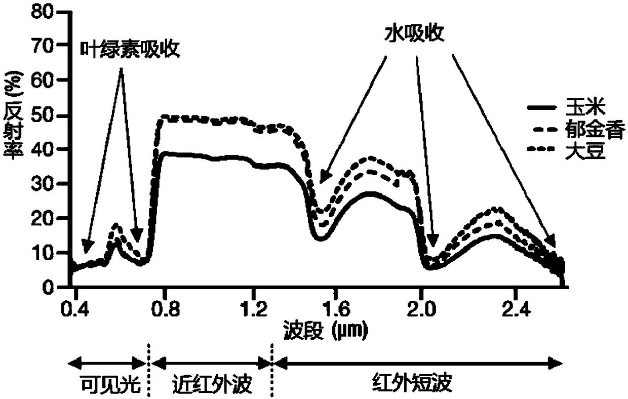 Crop recognition method based on multi-spectral satellite images