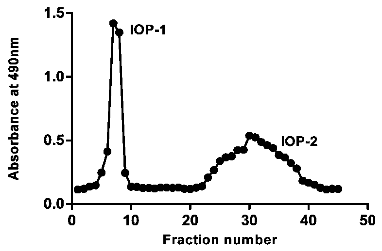 Preparation method and application of inonotus obliquus polysaccharide