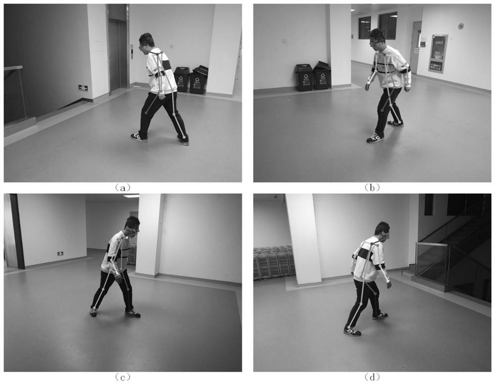 Camera calibration method based on human body posture estimation in large scene