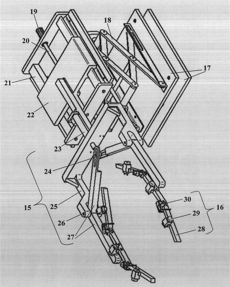 Device for accurately spraying wood disorder medicine strip and method