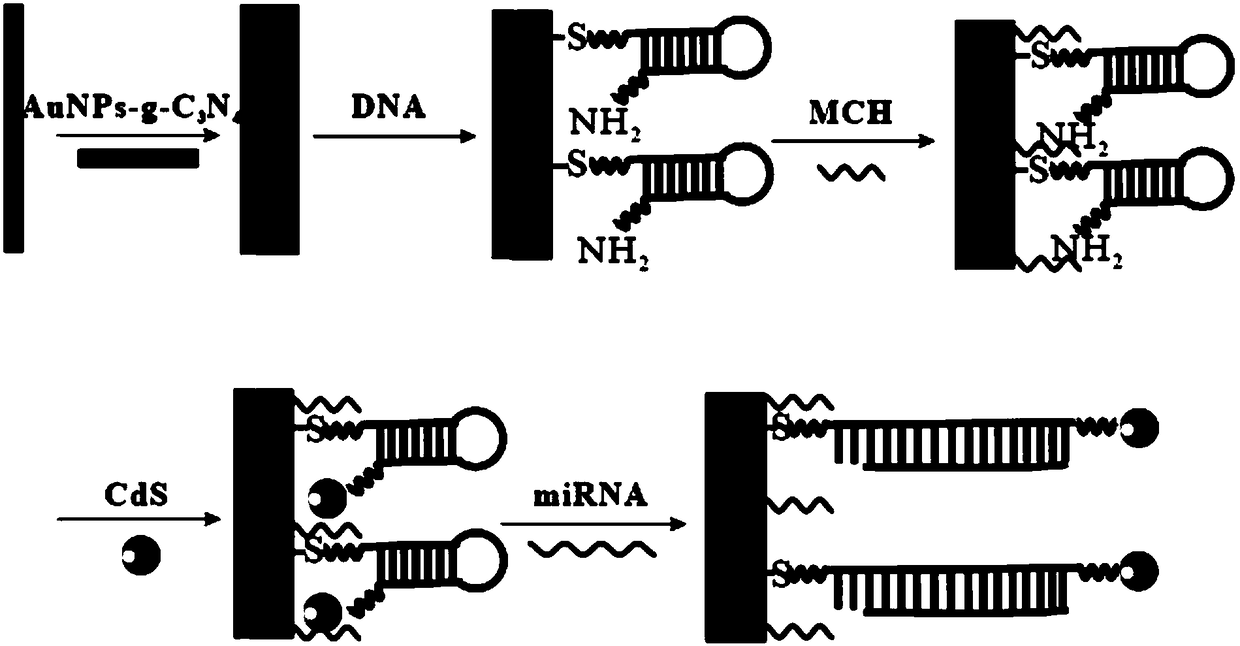 PEFC-based self-powered miRNA biosensor and application thereof
