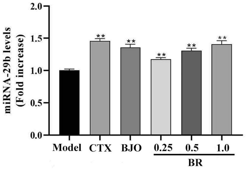 Preparation method of brucea javanica residue effective part containing picrasma quassioides lactone components