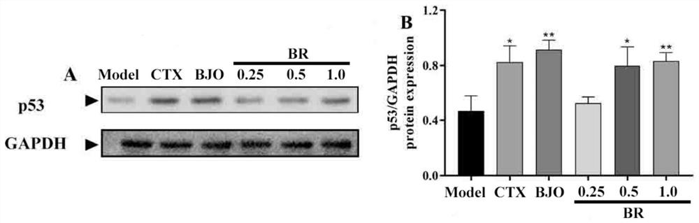 Preparation method of brucea javanica residue effective part containing picrasma quassioides lactone components