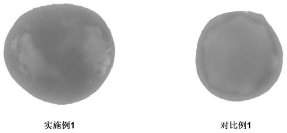 A kind of chondrogenic differentiation medium and its application