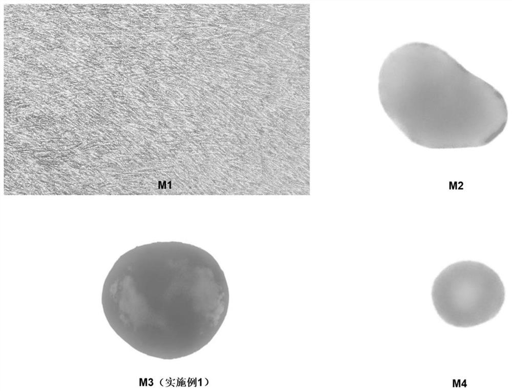 A kind of chondrogenic differentiation medium and its application