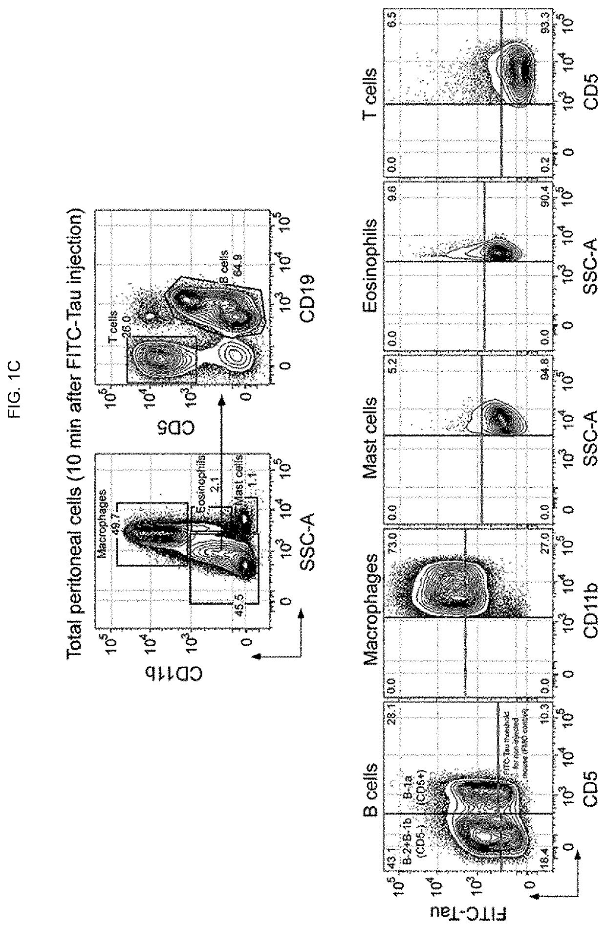 B-1a lymphocyte and/or macrophage targeting and activation to treat medical conditions with inflammatory or autoimmune components