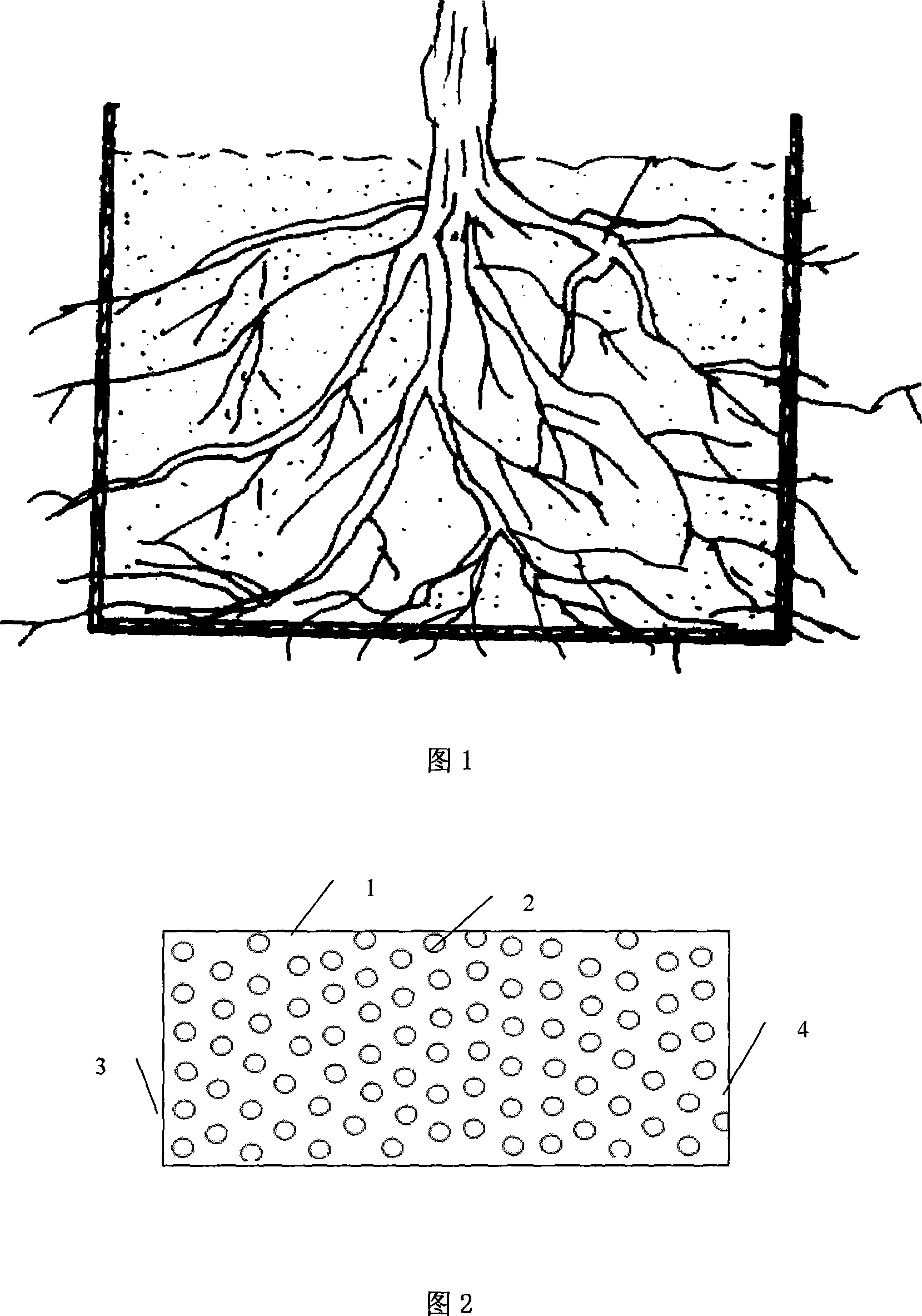 Plant cultivation method and using planting apparatus