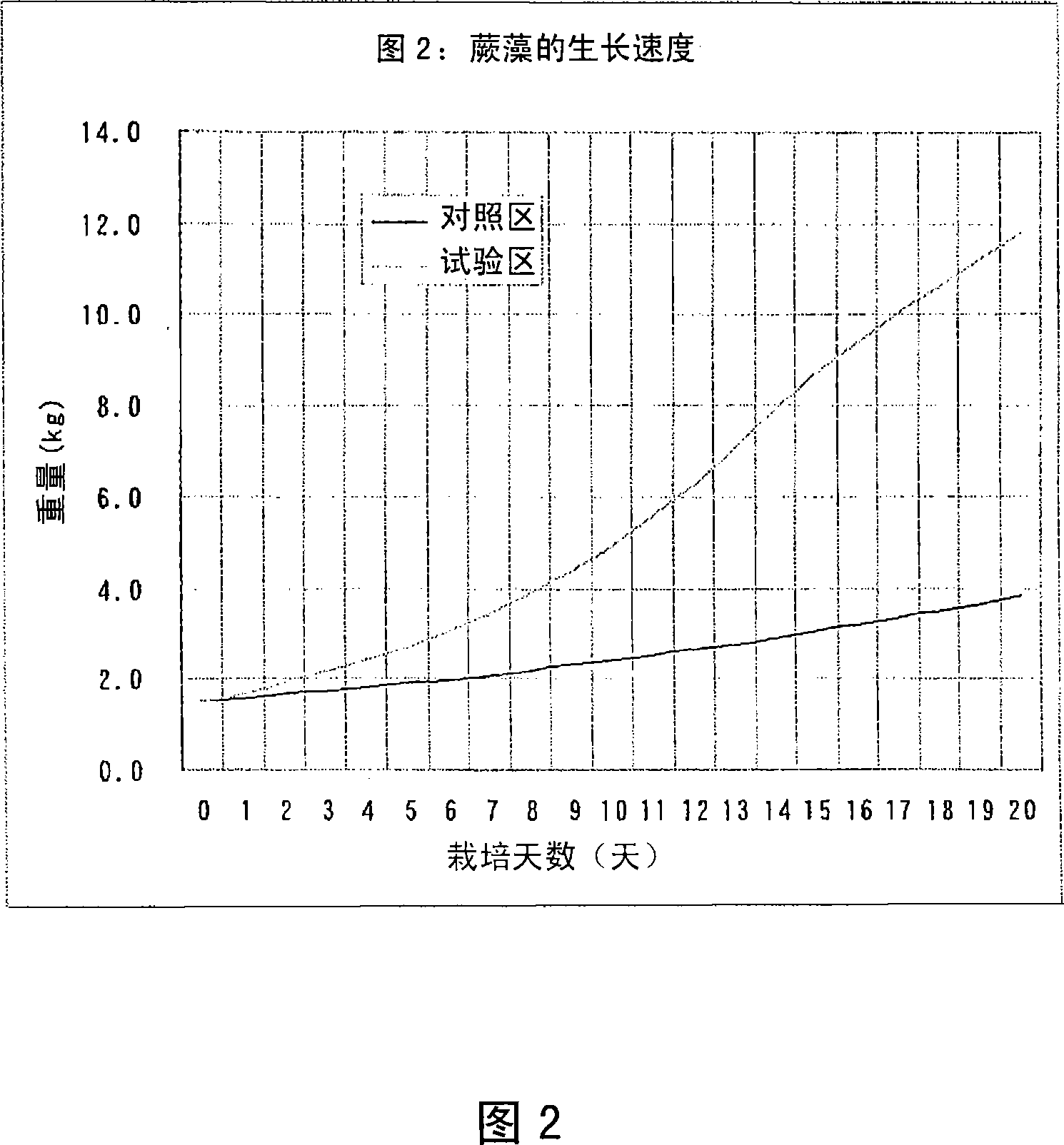 Manual intensive cultivation apparatus and cultivating method for algae