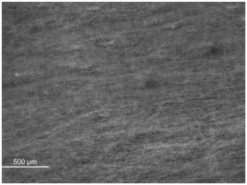 Preparation method and application of flexible large-area full-inorganic perovskite waterproof luminescent fiber membrane