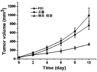 DC targeted nano vaccine applied to immunotherapy of liver cancer and preparation method thereof
