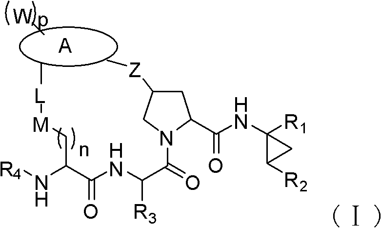 Macrocyclic compound for suppressing replication of hepatitis c viruses