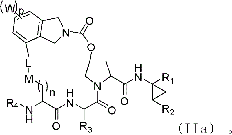 Macrocyclic compound for suppressing replication of hepatitis c viruses