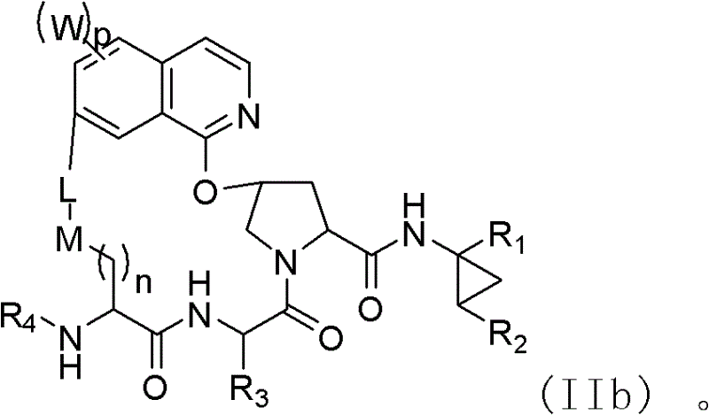 Macrocyclic compound for suppressing replication of hepatitis c viruses