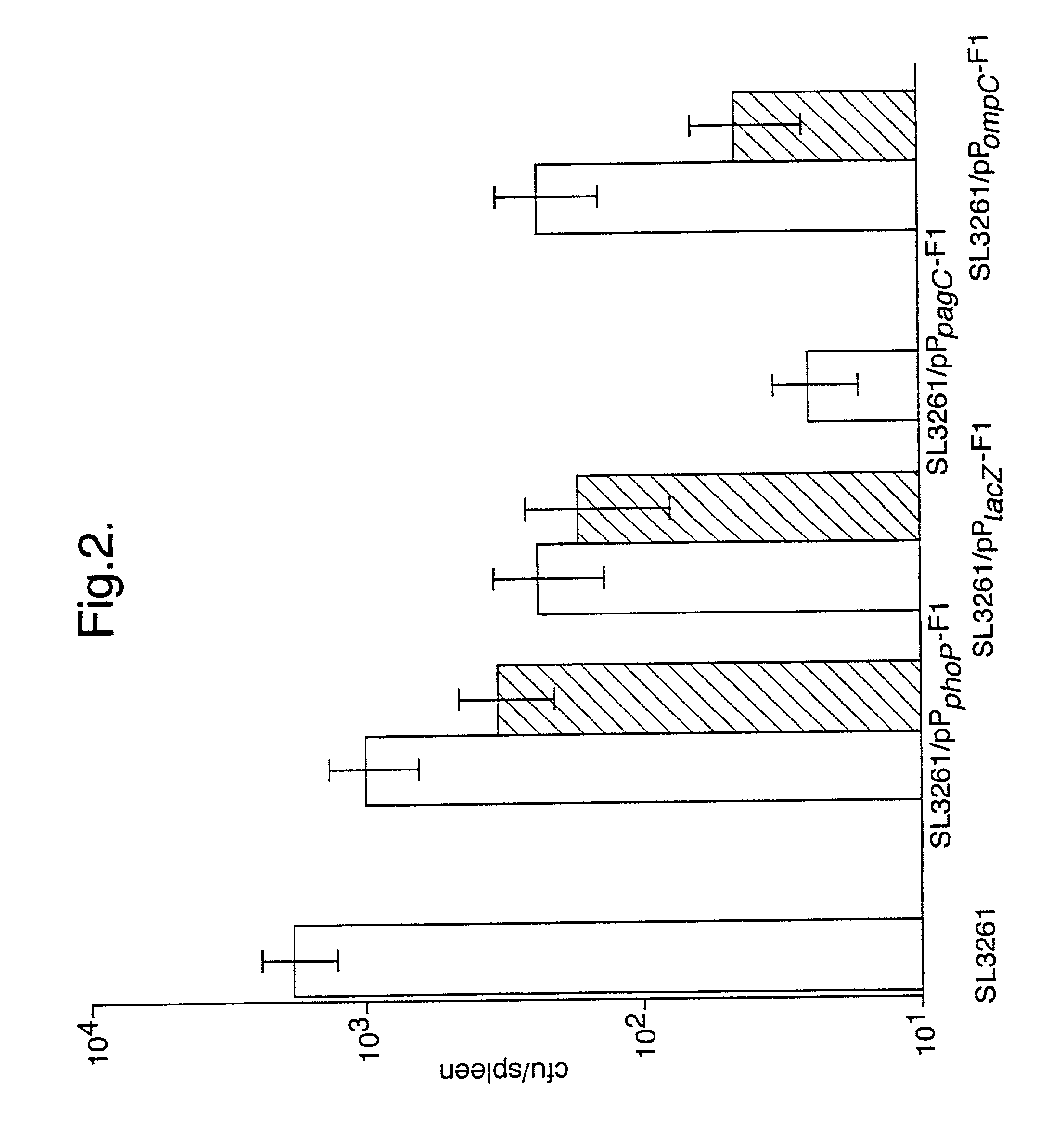 Recombinant microorganisms