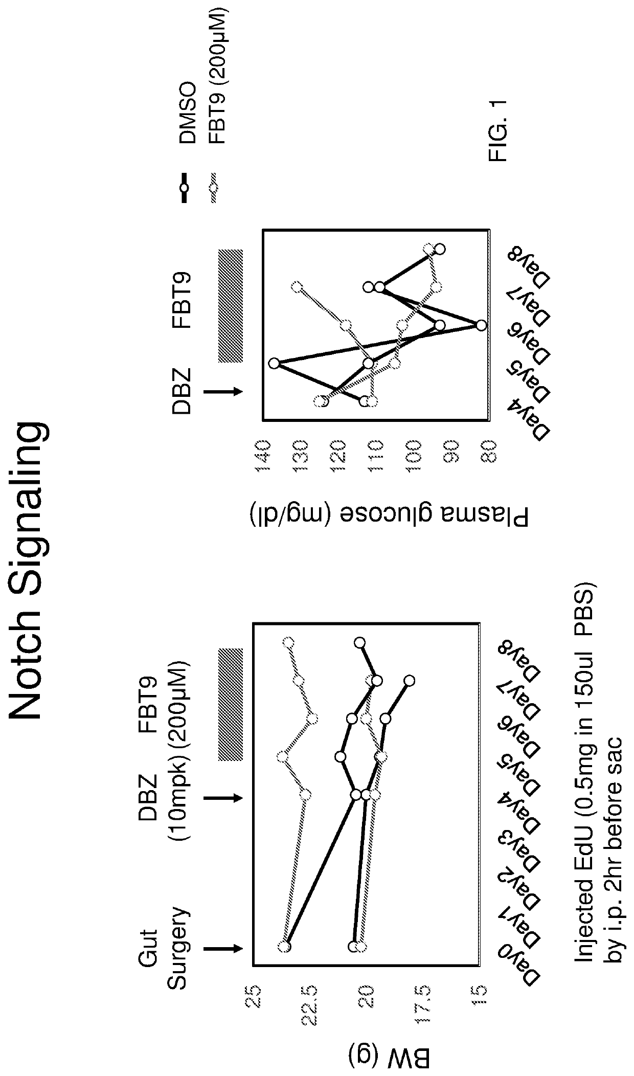 Co-Administration of inhibitors to produce insulin producing gut cells