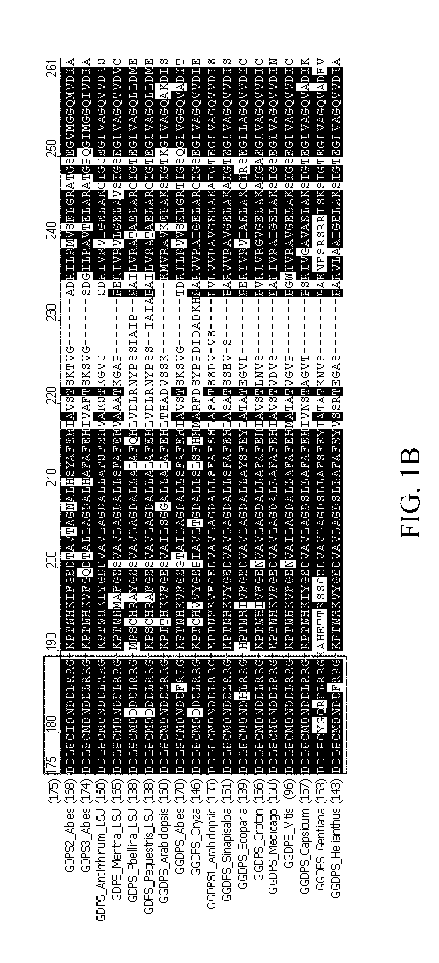 Gene, protein, protein complex and method for improving aroma production in a plant
