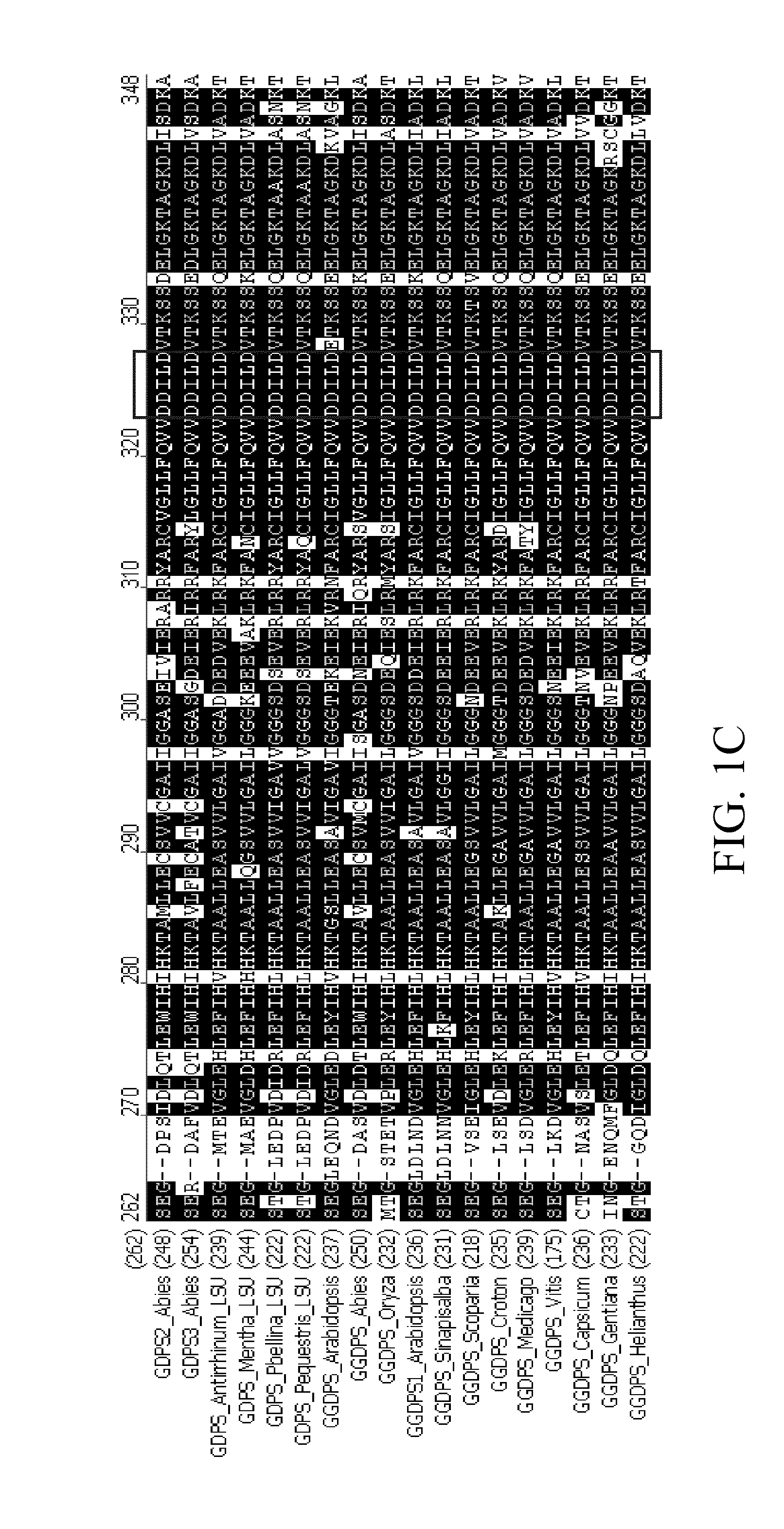 Gene, protein, protein complex and method for improving aroma production in a plant