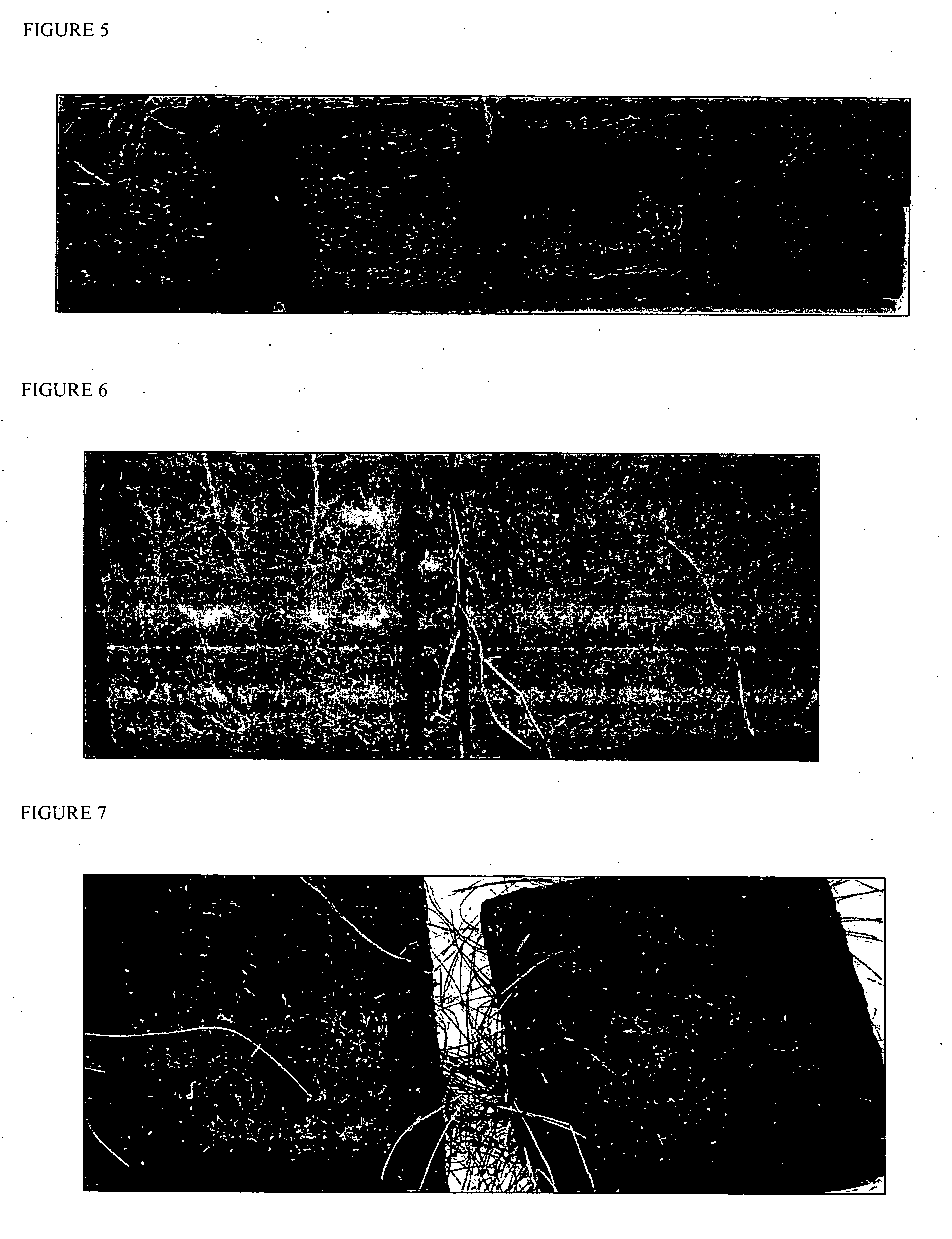 Method and compositions for improving plant growth