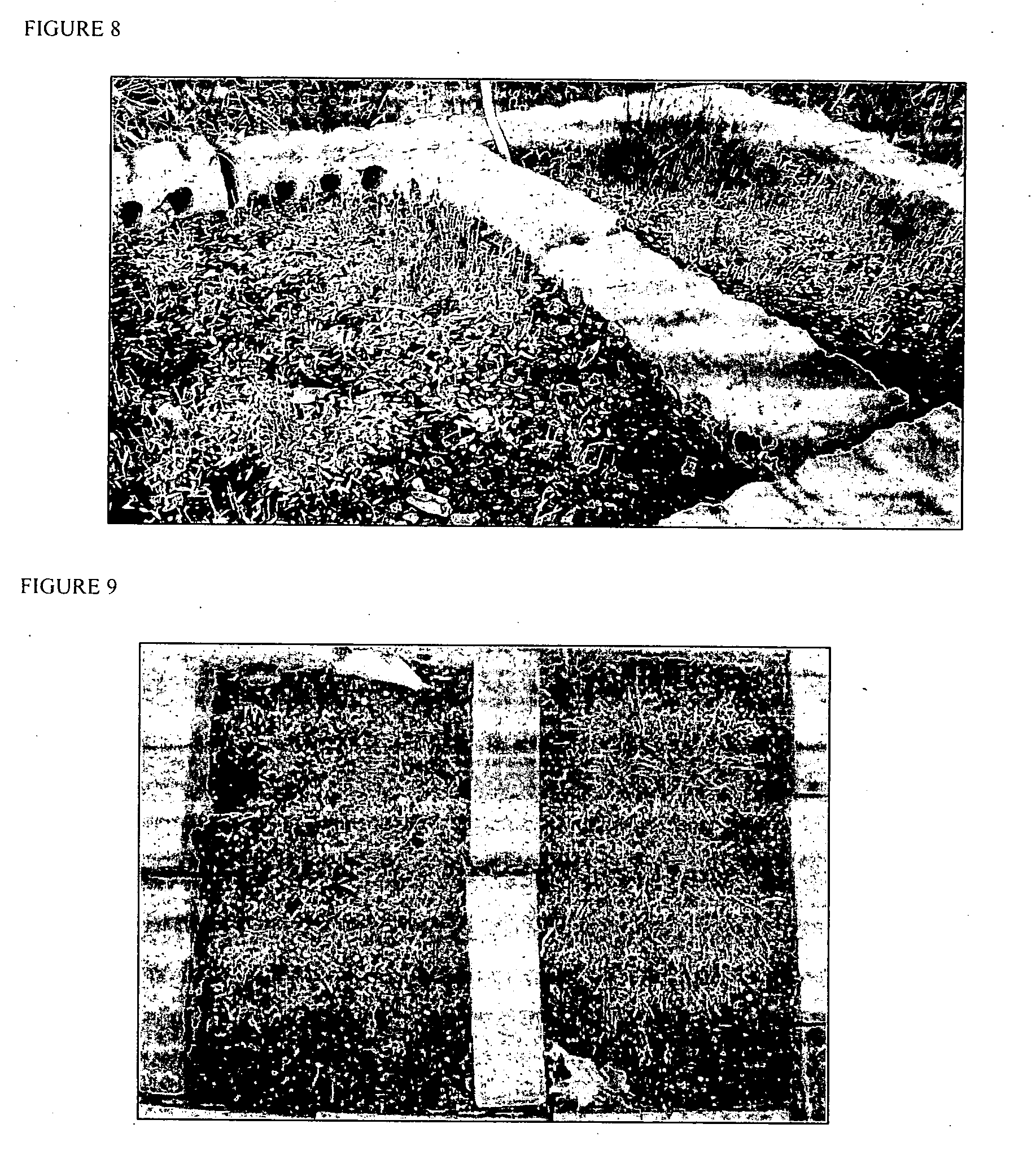 Method and compositions for improving plant growth