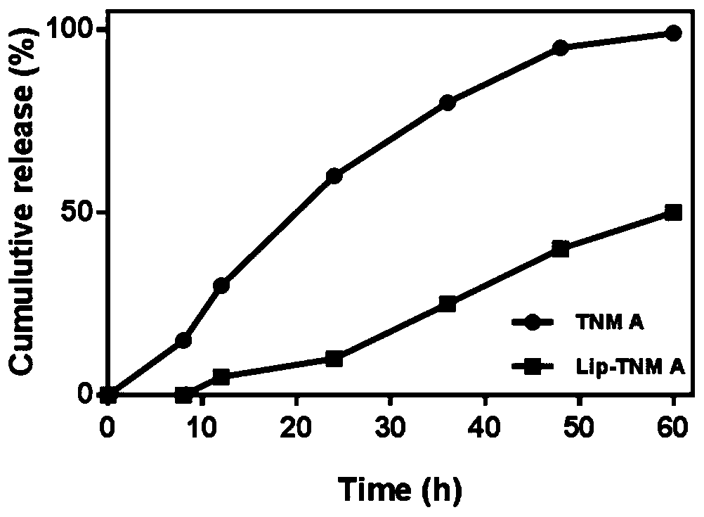 Tiancimycin lipidosome as well as preparation method and application of Tiancimycin lipidosome