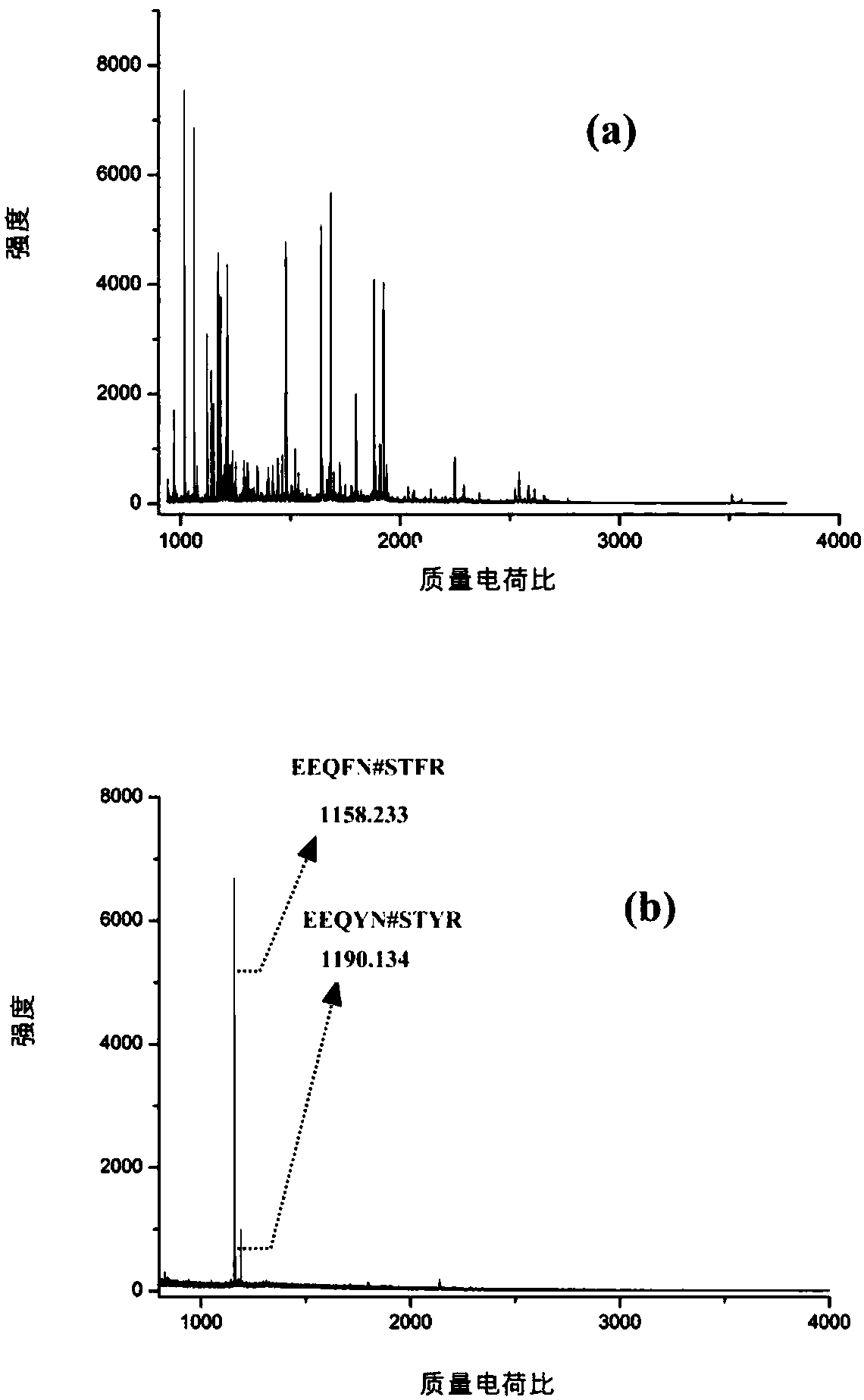 Glycopeptide or glycoprotein enrichment material, preparation thereof and application of material