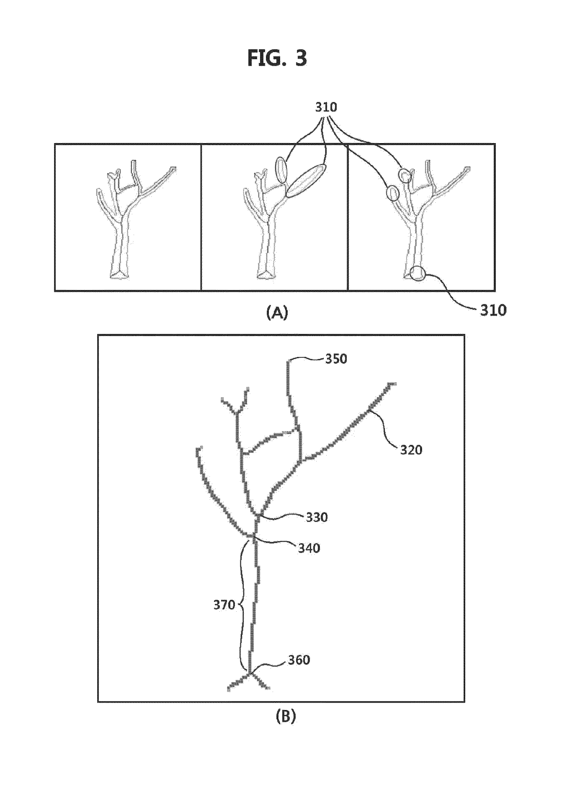 Tree model and forest model generating method and apparatus
