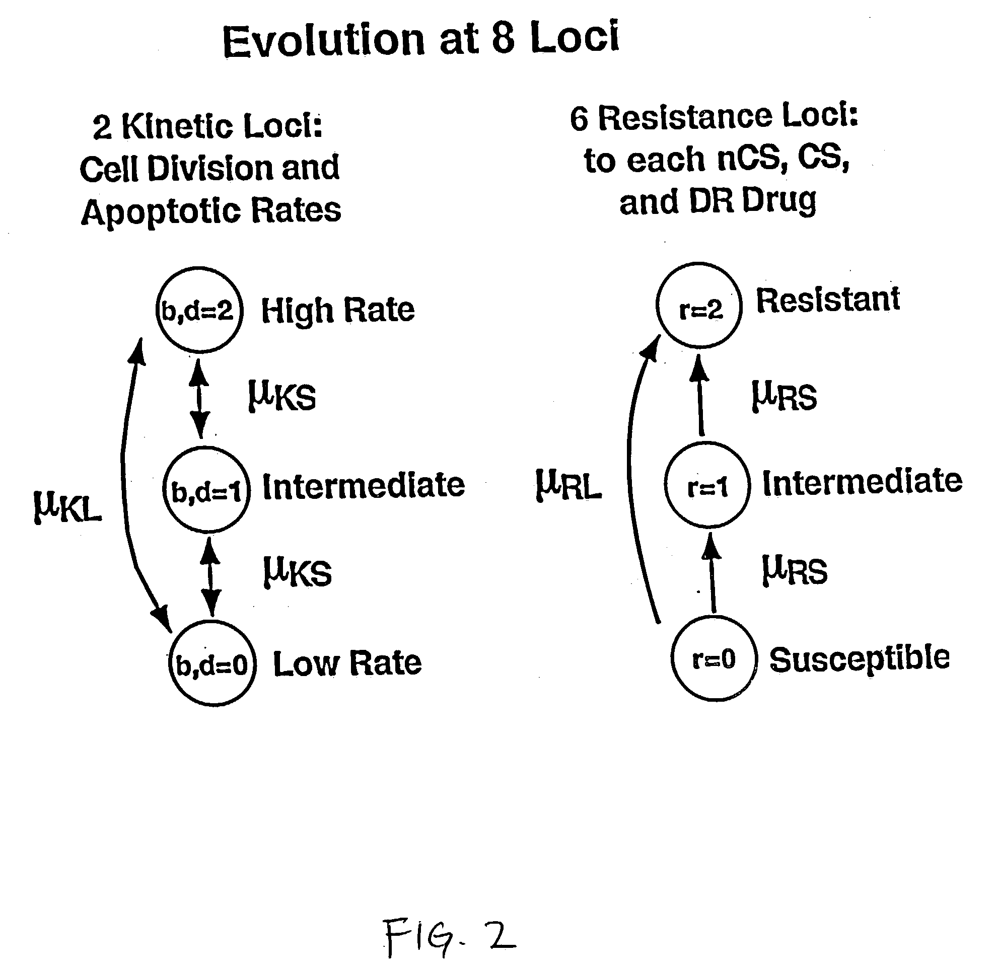 Computational model, method, and system for kinetically-tailoring multi-drug chemotherapy for individuals