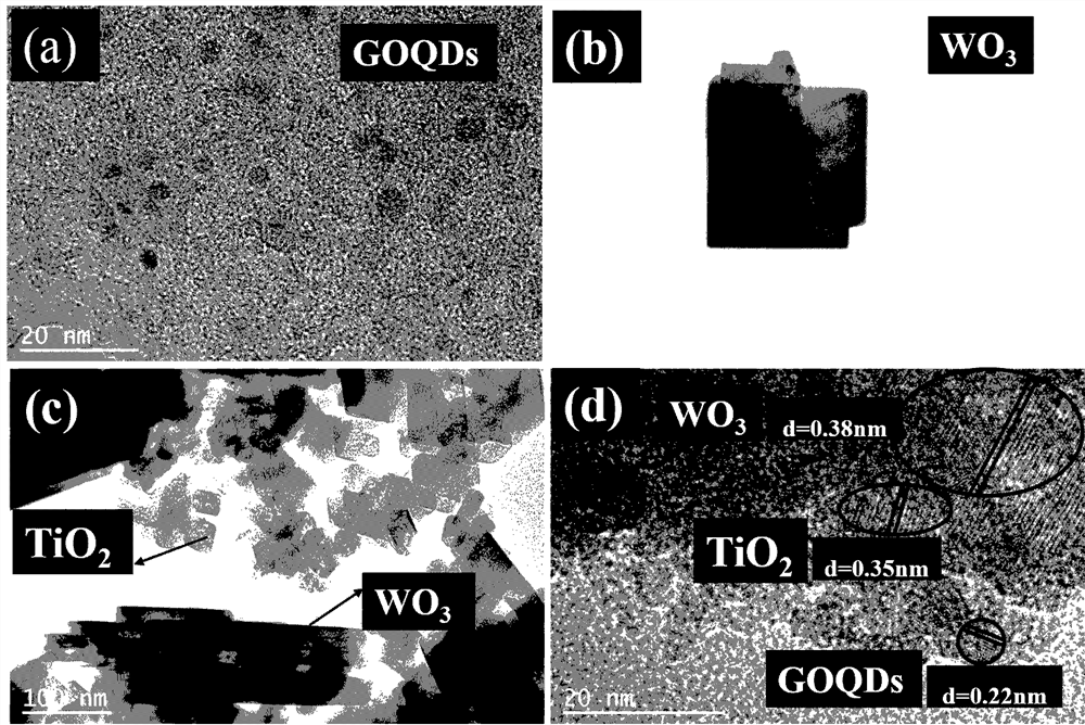 Preparation and application of a kind of goqds/tio2/wo3 photocatalyst