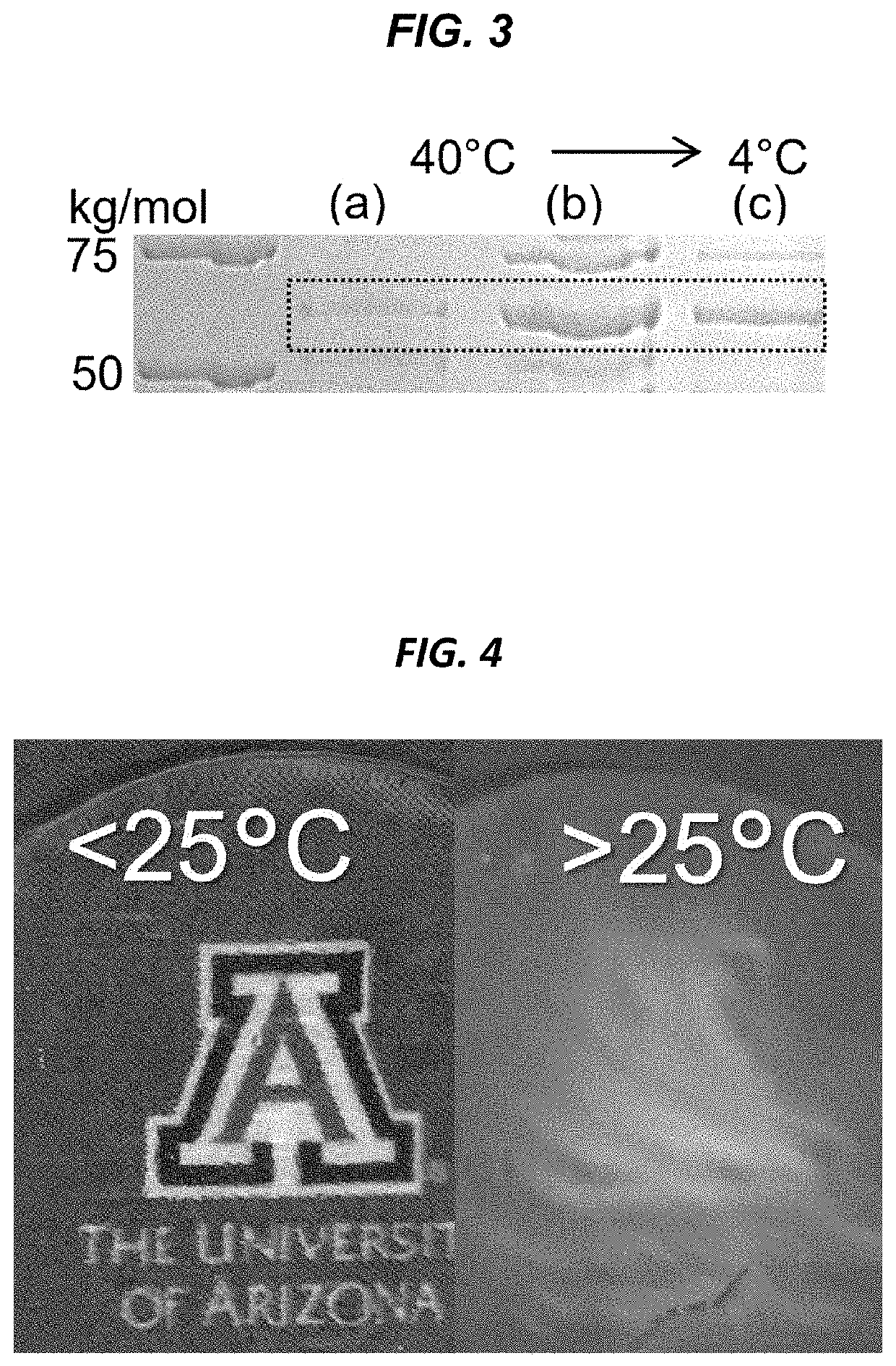 Antimicrobial biopolymer compositions, methods of synthesis, and applications of use