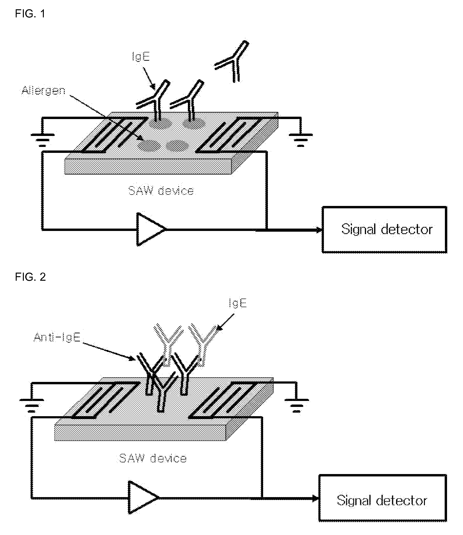 Surface acoustic wave immunosensor for diagnosing allergy disease and method for diagnosing allergy disease using the same