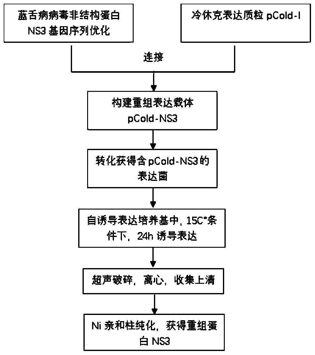 Soluble preparation method for BT (bluetongue) virus nonstructural protein NS3