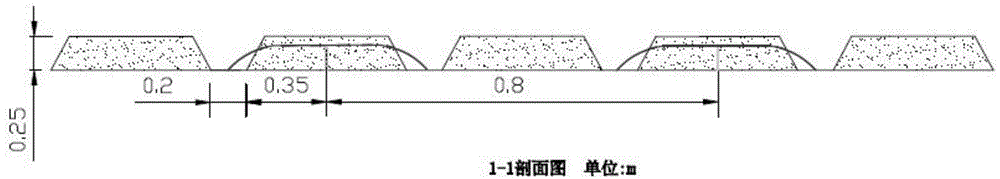 Large-row crop bubbler-trickle furrow irrigation water supply system and furrow irrigation water-saving cultivation method thereof