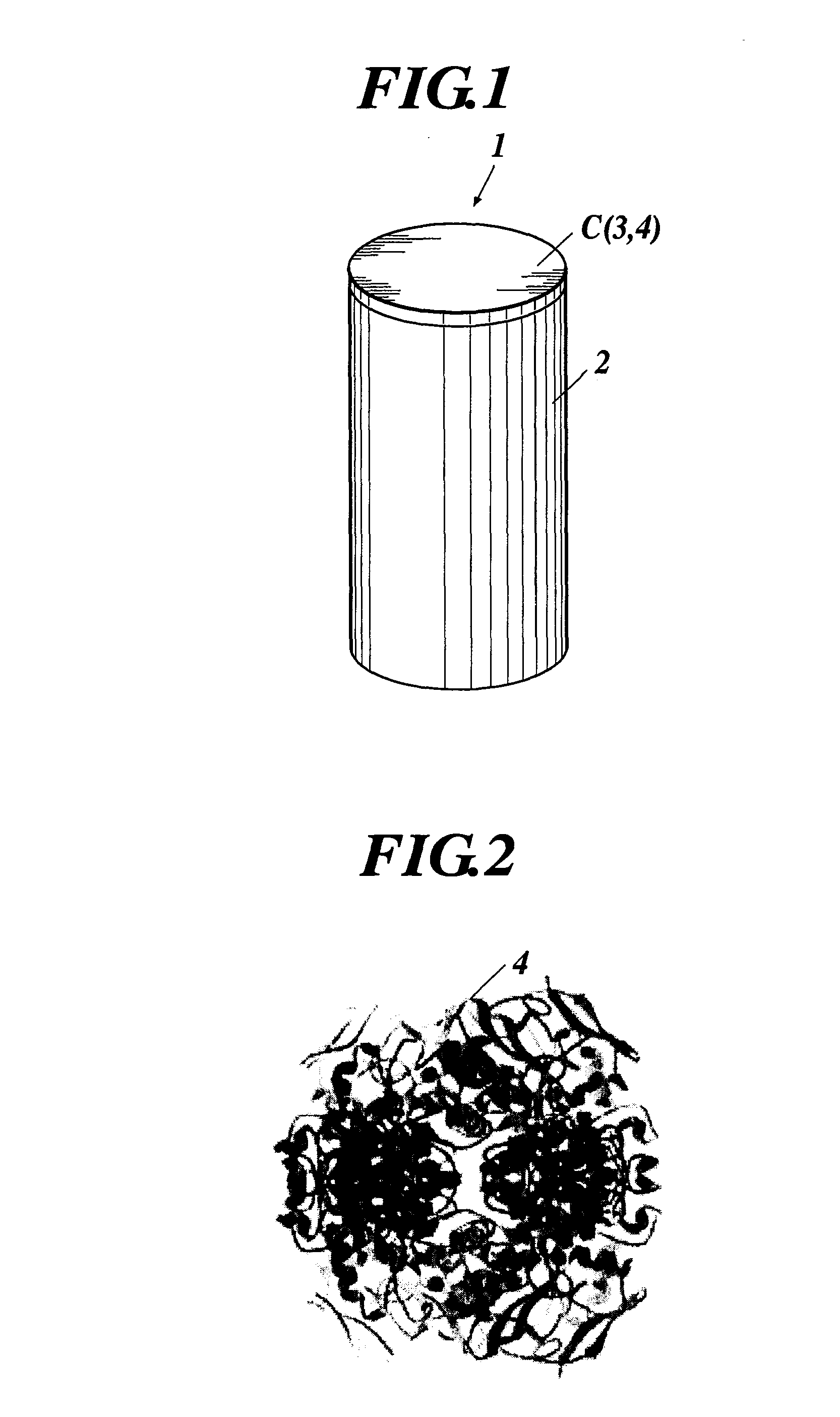 Enzyme Electrode and Enzyme Sensor