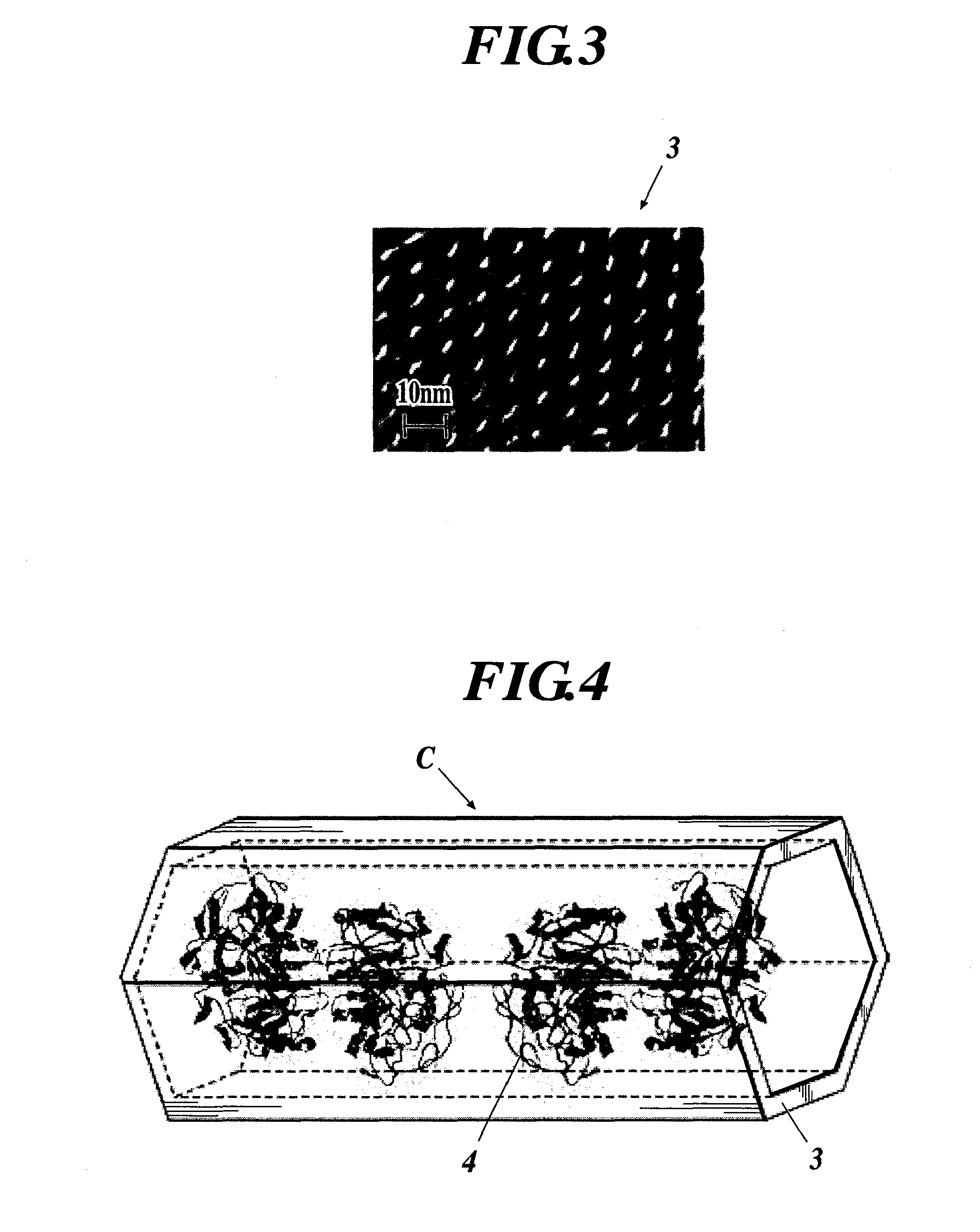 Enzyme Electrode and Enzyme Sensor