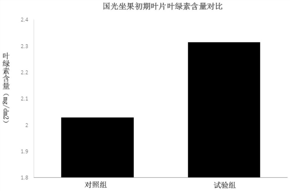 Special biogenic bacterial fertilizer system for apples and use method thereof