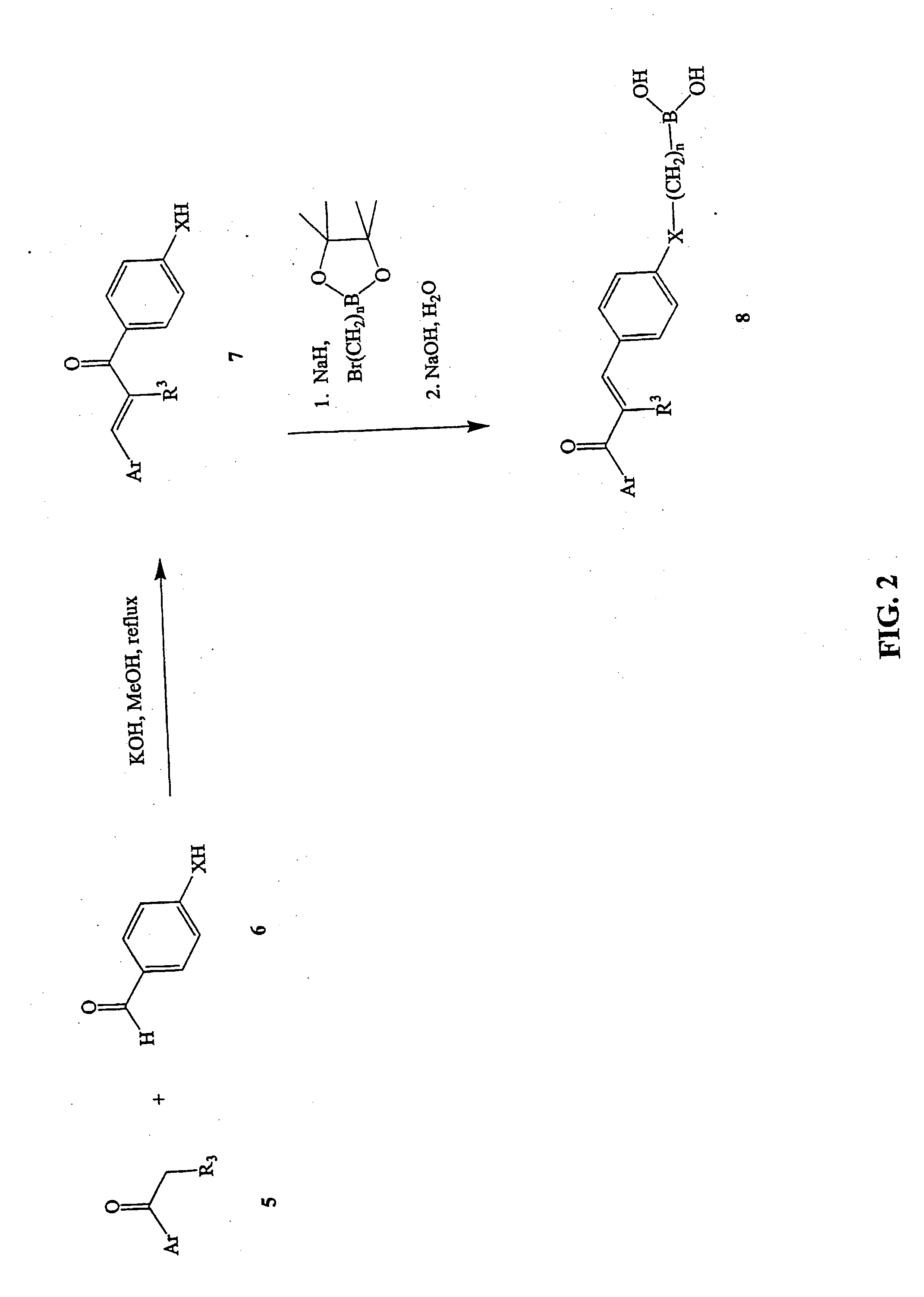 Novel boronic chalcone derivatives and uses thereof
