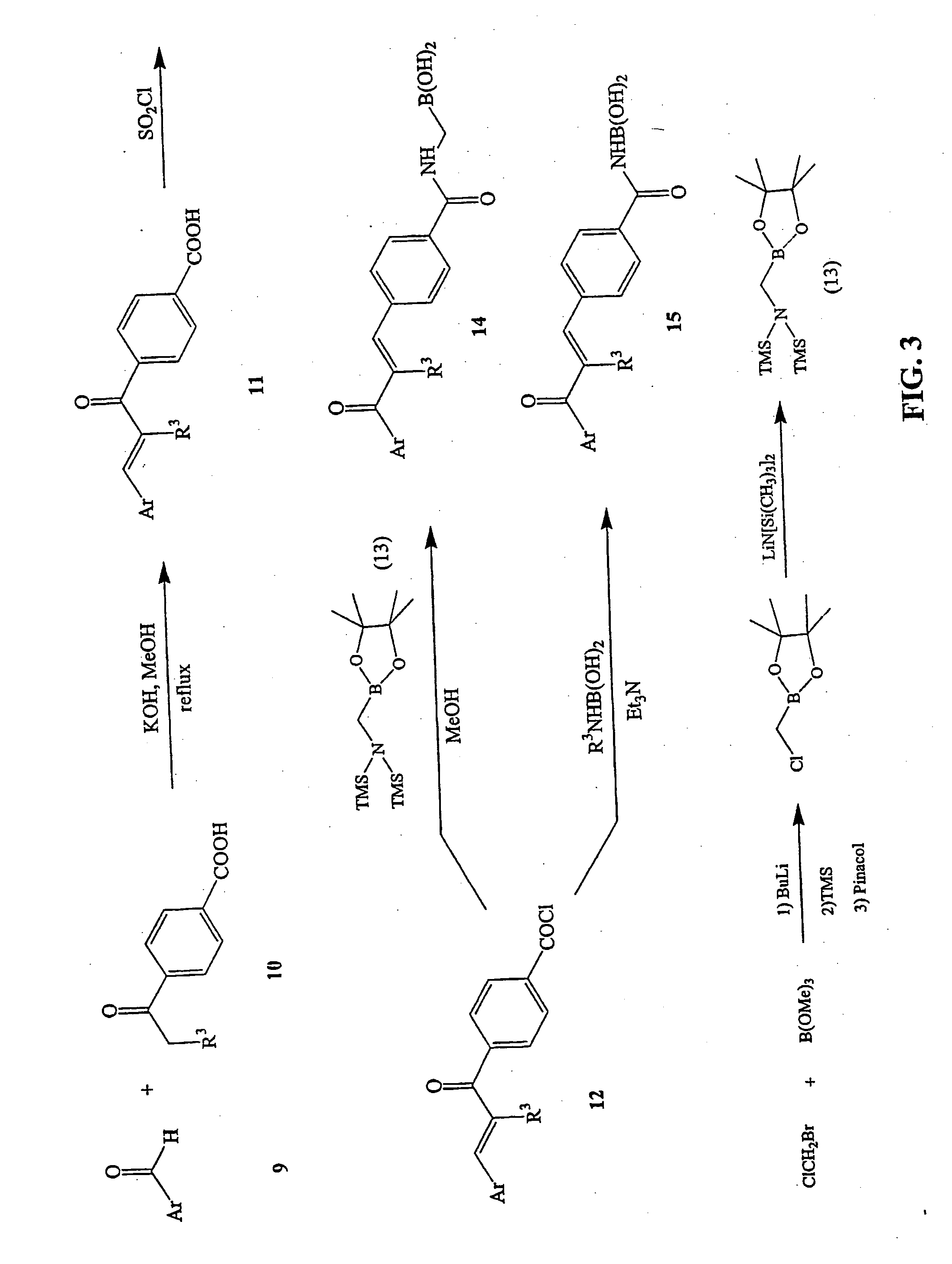 Novel boronic chalcone derivatives and uses thereof