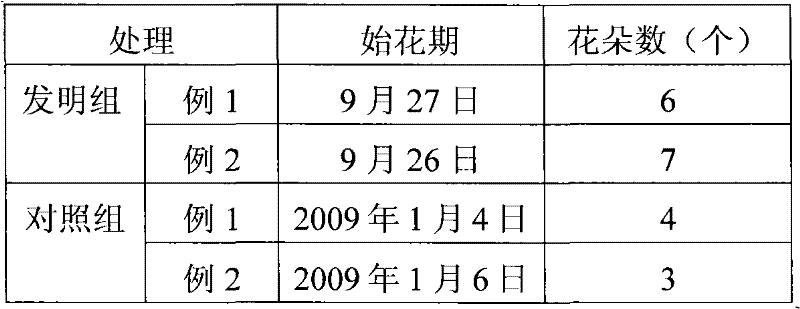 Method for regulating and controlling flower season of violet