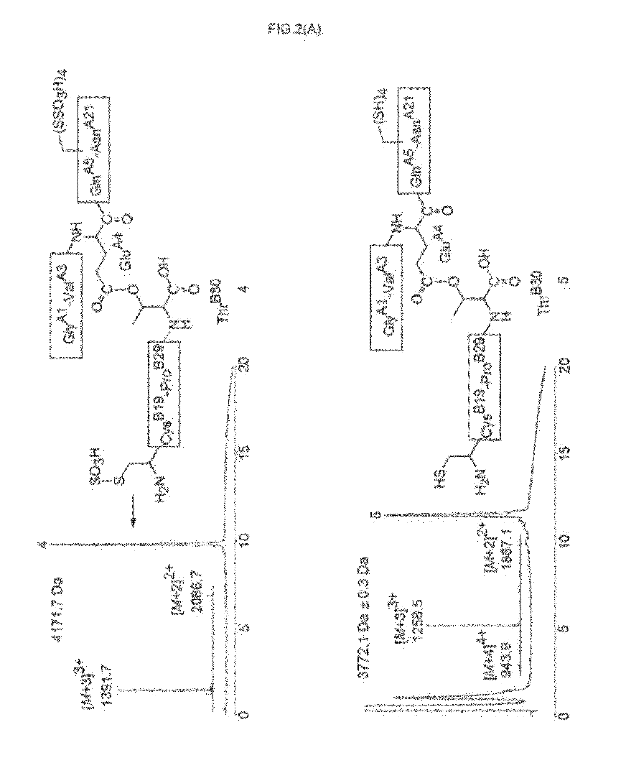 Ester insulin