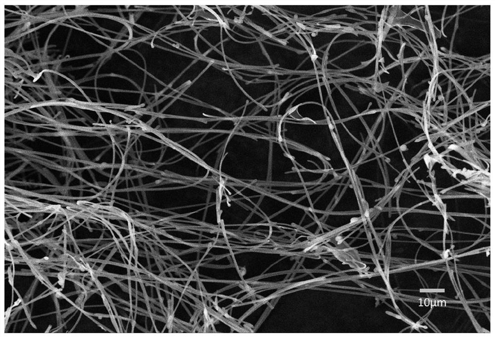 Method for preparing lignin nanotube by utilizing agriculture and forestry biomass raw materials